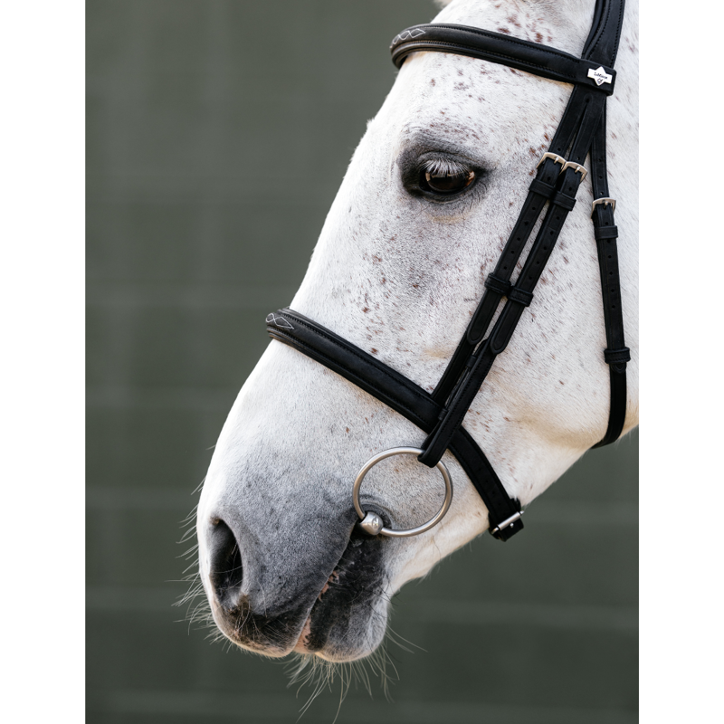 LeMieux Arika Classique Cavesson Bridle - Black-2