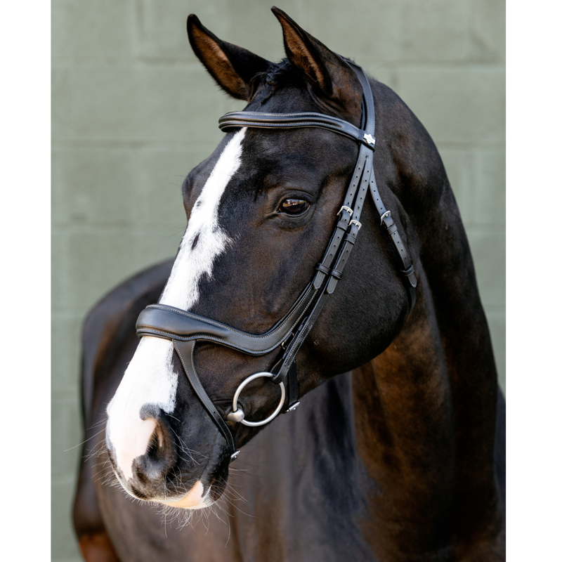 LeMieux Arika Anatomic Split Noseband Bridle - Black/Silver-1