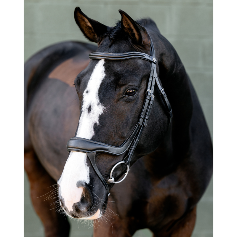 LeMieux Arika Anatomic Split Noseband Bridle - Black/Silver-2