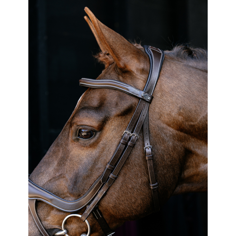 LeMieux Arika Split Noseband Bridle - Brown/Silver-1