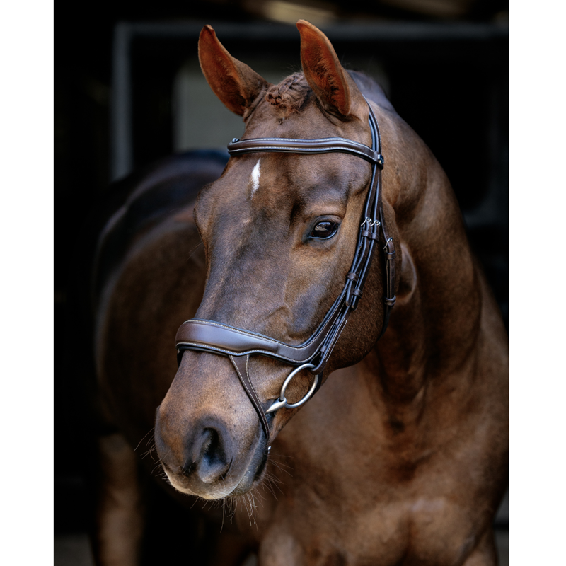 LeMieux Arika Split Noseband Bridle - Brown/Silver-2