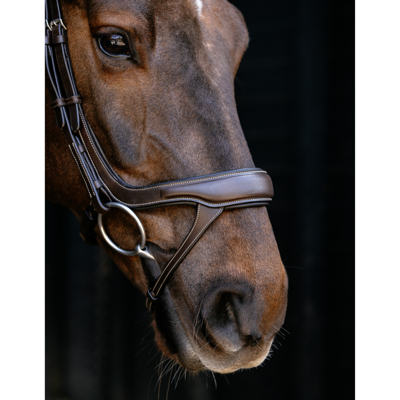 LeMieux Arika Split Noseband Bridle - Brown/Silver-3