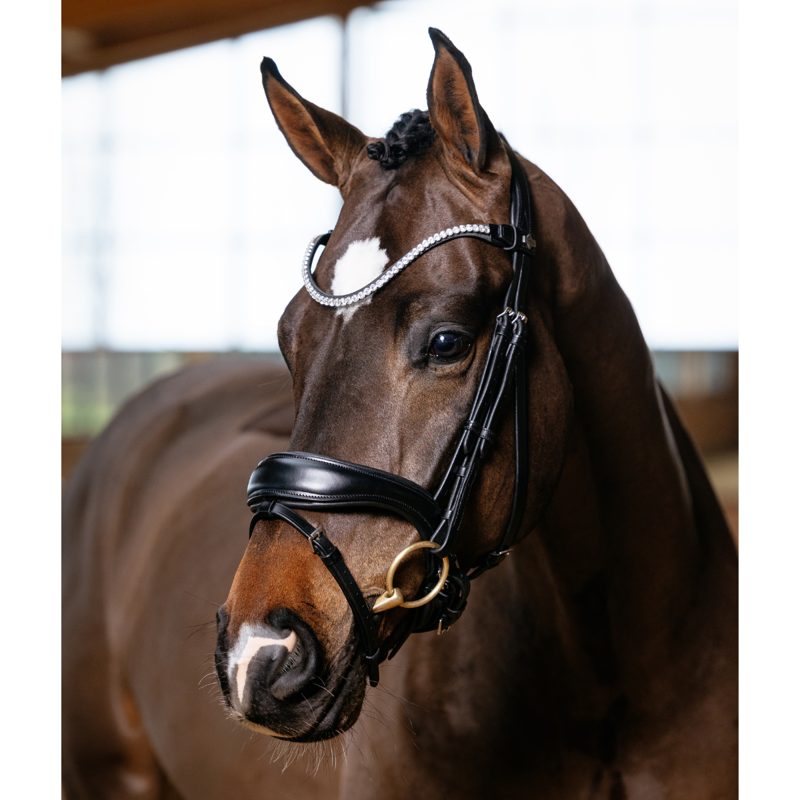 LeMieux Kudos Anatomic Dressage Bridle - Black-1
