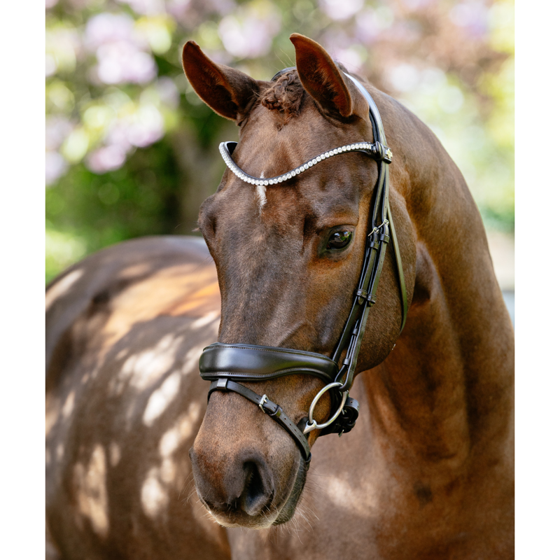 LeMieux Kudos Anatomic Dressage Bridle - Brown-1
