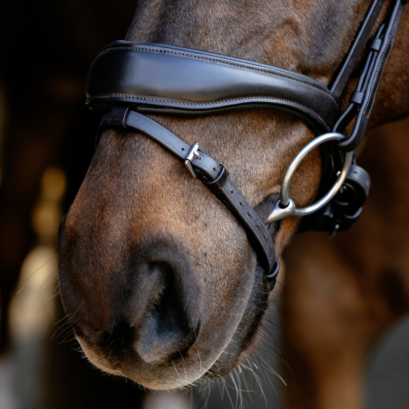 LeMieux Kudos Anatomic Dressage Bridle - Brown-4