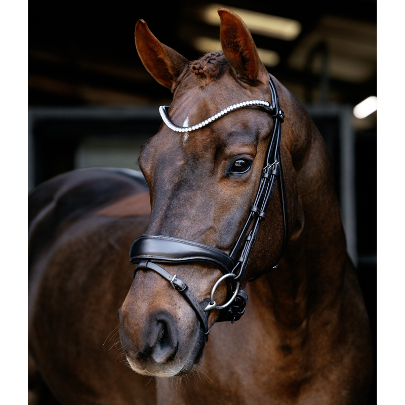LeMieux Kudos Anatomic Dressage Bridle - Brown-5