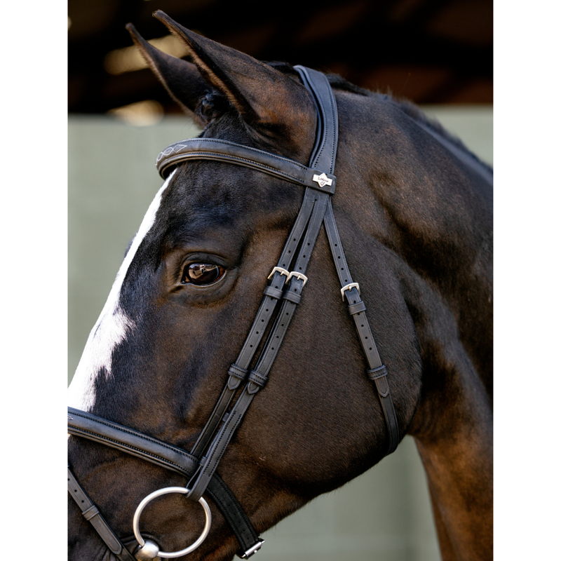 LeMieux Arika Classique Flash Bridle - Black-2