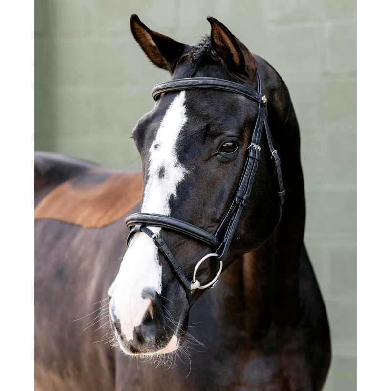 LeMieux Arika Classique Flash Bridle - Black-1