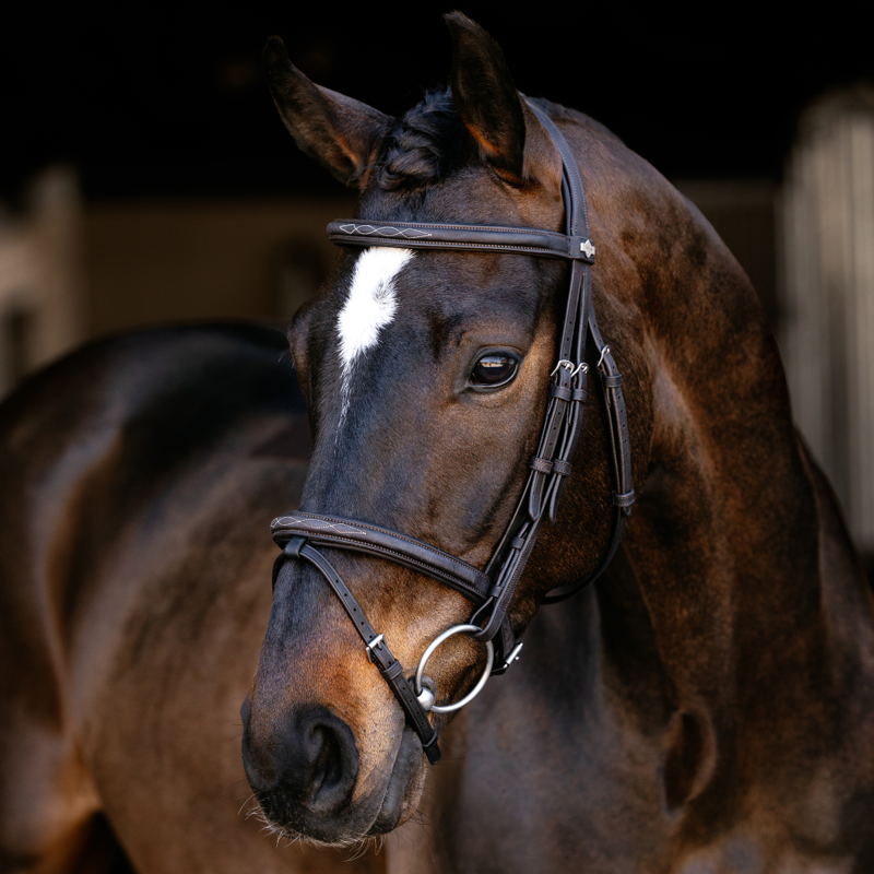LeMieux Arika Classique Flash Bridle - Brown-1