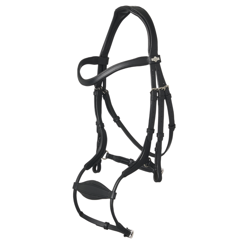 LeMieux Arika Adjustable Anatomic Noseband Bridle - Black/Silver