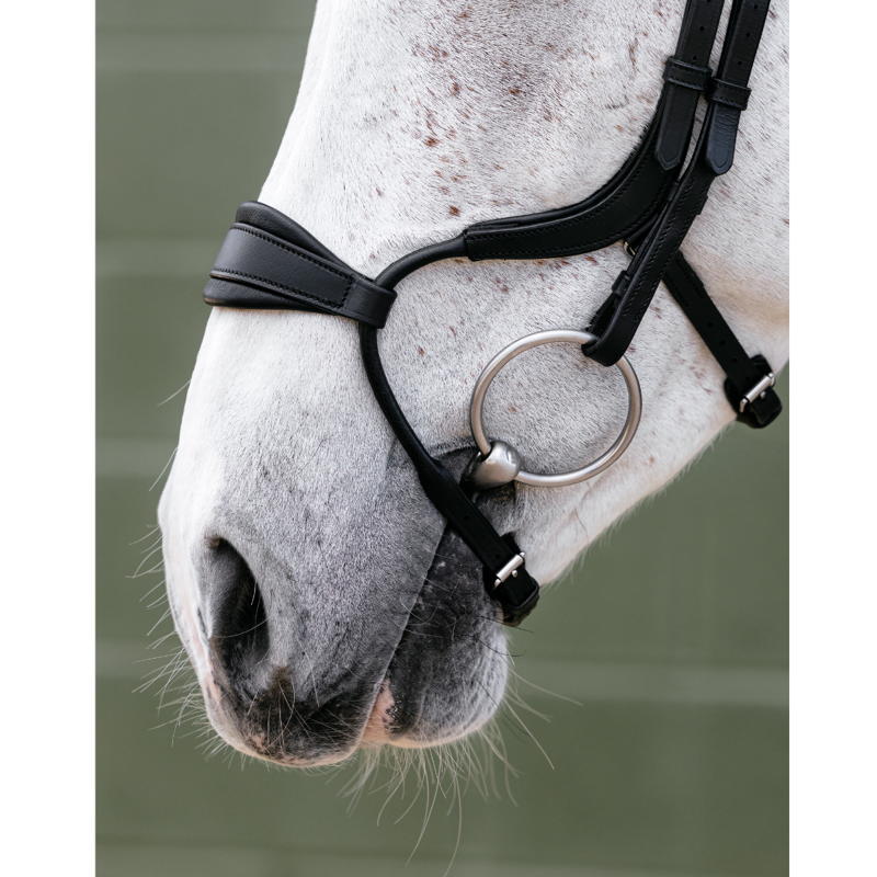 LeMieux Arika Adjustable Anatomic Noseband Bridle - Black/Silver-1