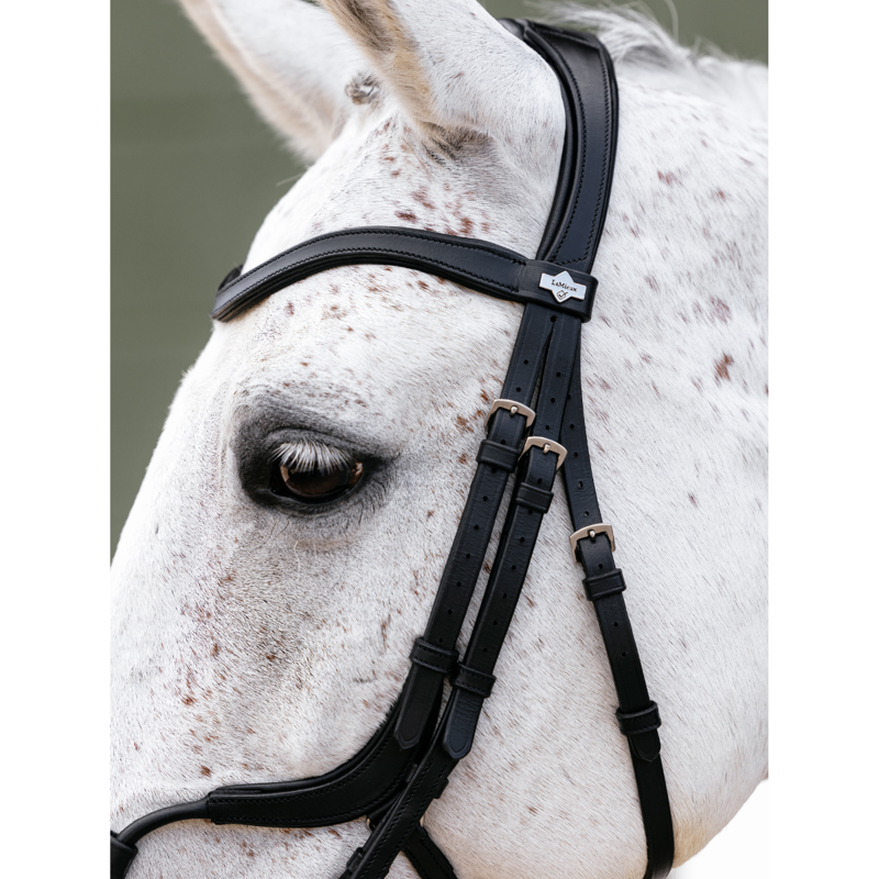LeMieux Arika Adjustable Anatomic Noseband Bridle - Black/Silver-2