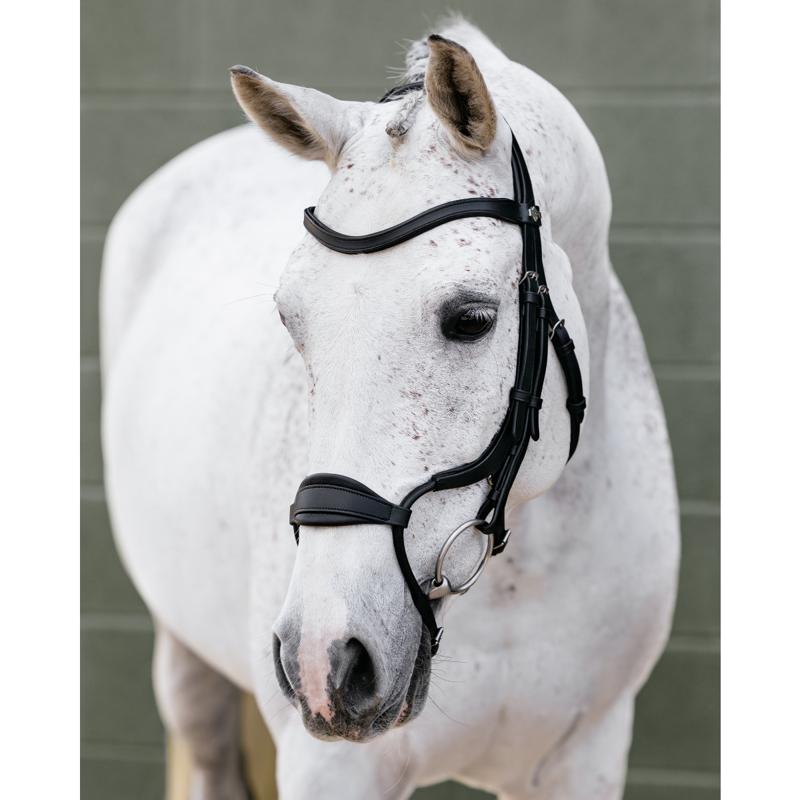 LeMieux Arika Adjustable Anatomic Noseband Bridle - Black/Silver-3