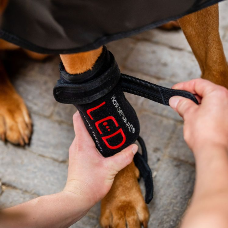Horseware LED Red Light Therapy Pet Leg Wraps Pair - Black/Black