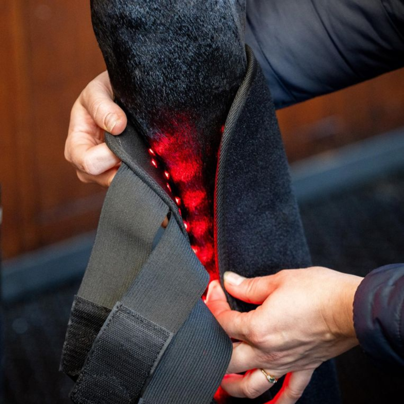 Horseware LED Red Light Therapy Leg Wraps Pair - Black/Black-4