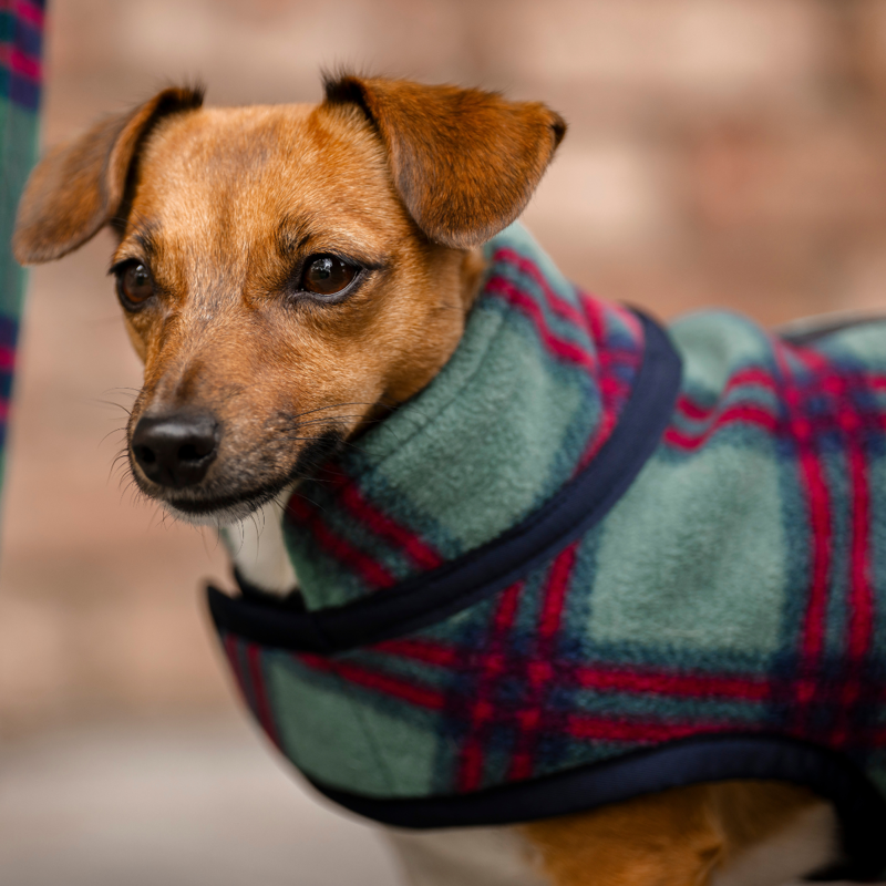Horseware Holiday Collection Dog Fleece - Green Check/Navy/Red-6