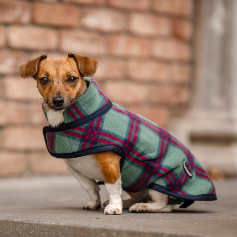 Horseware Holiday Collection Dog Fleece - Green Check/Navy/Red-1