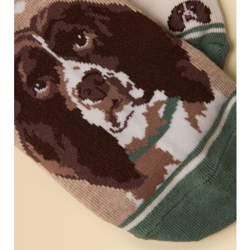 Joules Ladies Everyday 2 Pack Socks - Neutral Spaniel-1