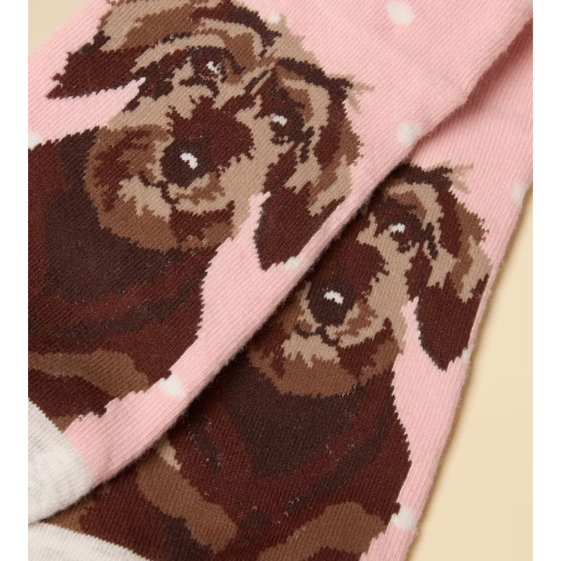 Joules Ladies Everyday 2 Pack Socks - Pink and Grey Dog-1