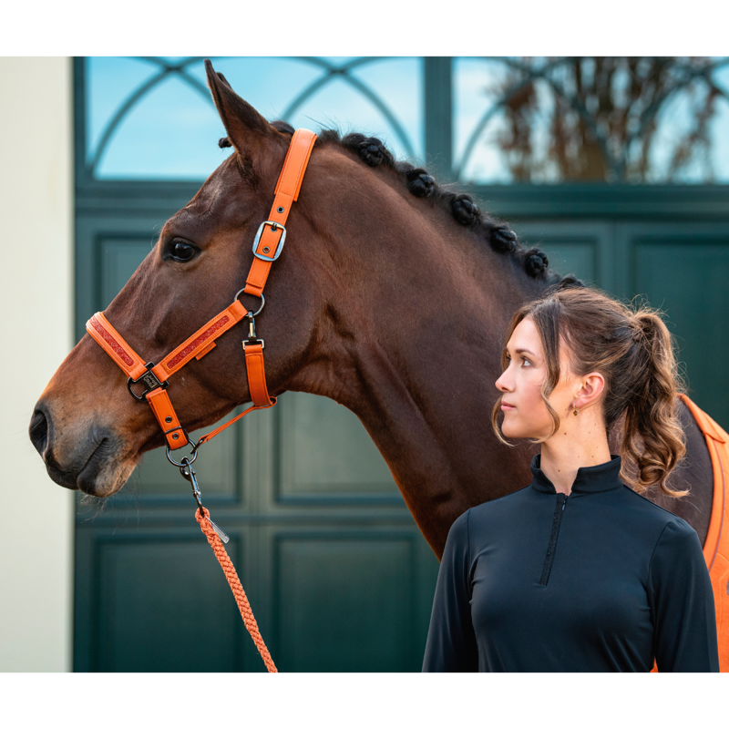 Eskadron Faux Leather Jewel Headcollar - Amber-1