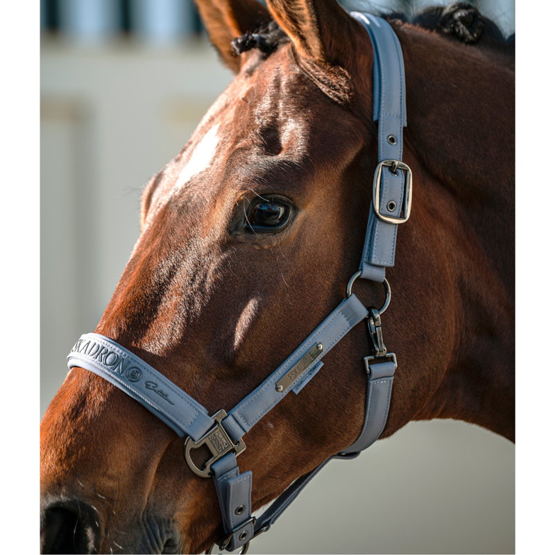 Eskadron Sparkle Double Pin Headcollar Platinum SS26 - Slate Blue-1