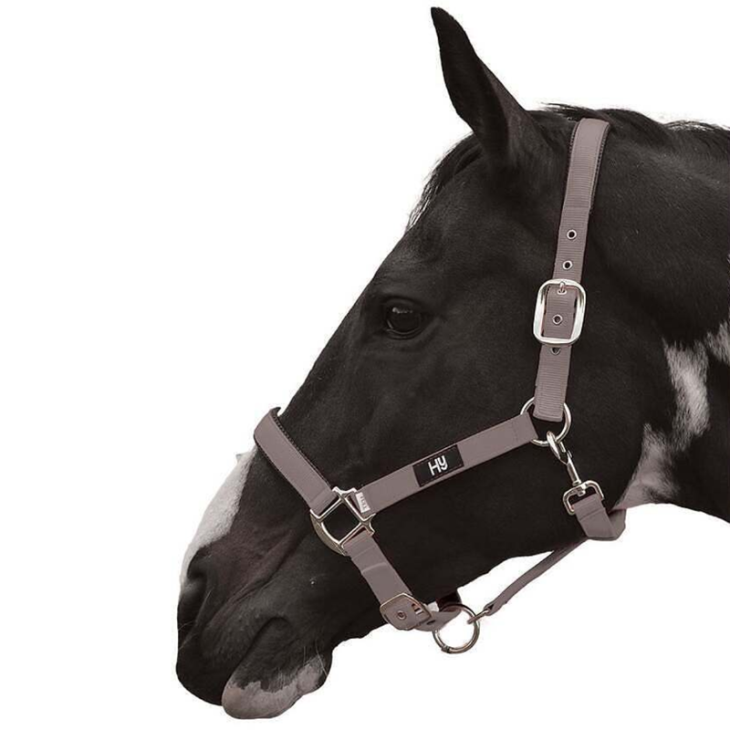 Hy Equestrian Grand Prix Headcollar - Grey 