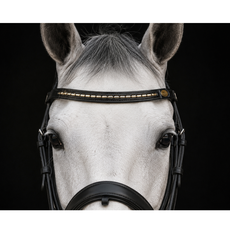 Schockemohle Kettenstirnband Browband - Pony - Black/Gold-1