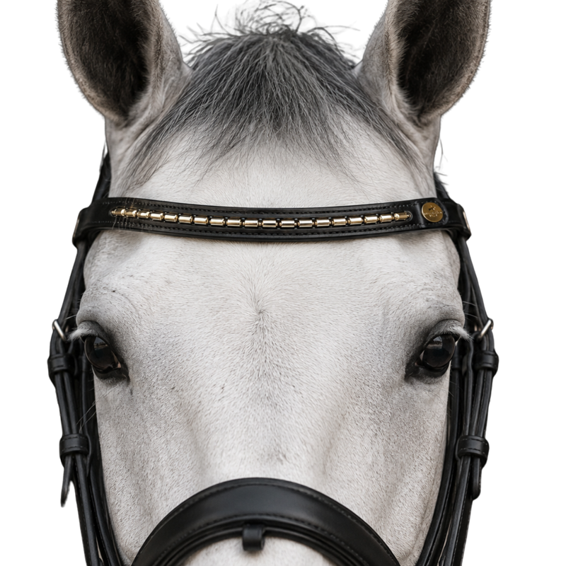 Schockemohle Kettenstirnband Browband - Pony - Black/Gold