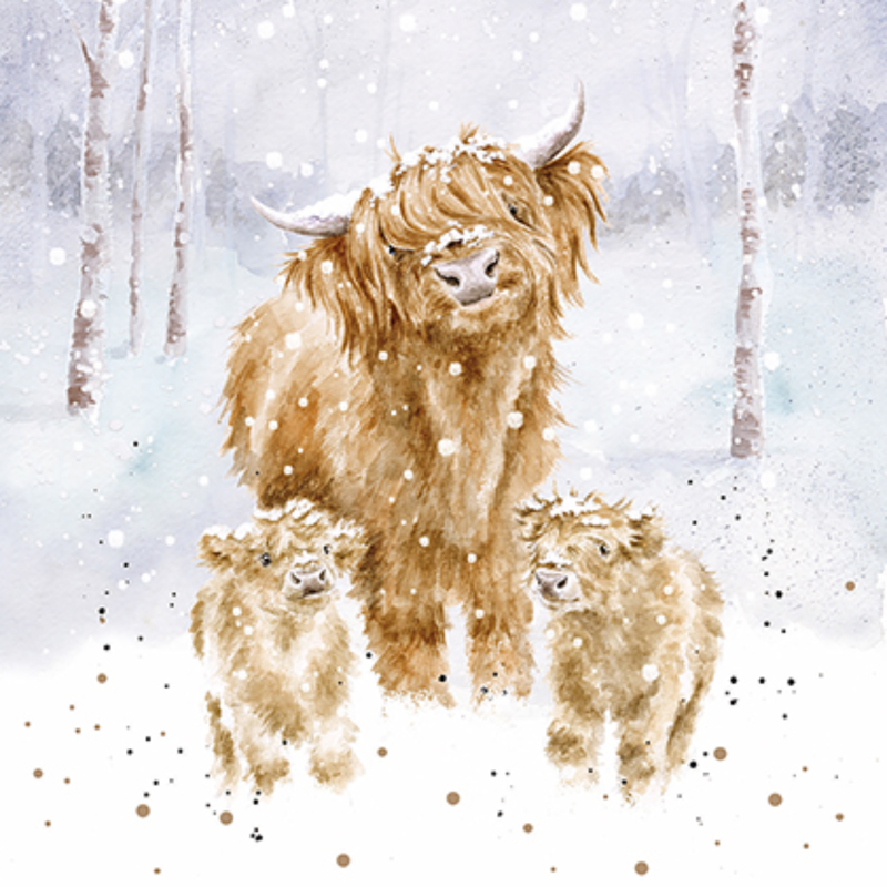 Wrendale Designs 'A Highland Christmas' Card Box Set-1