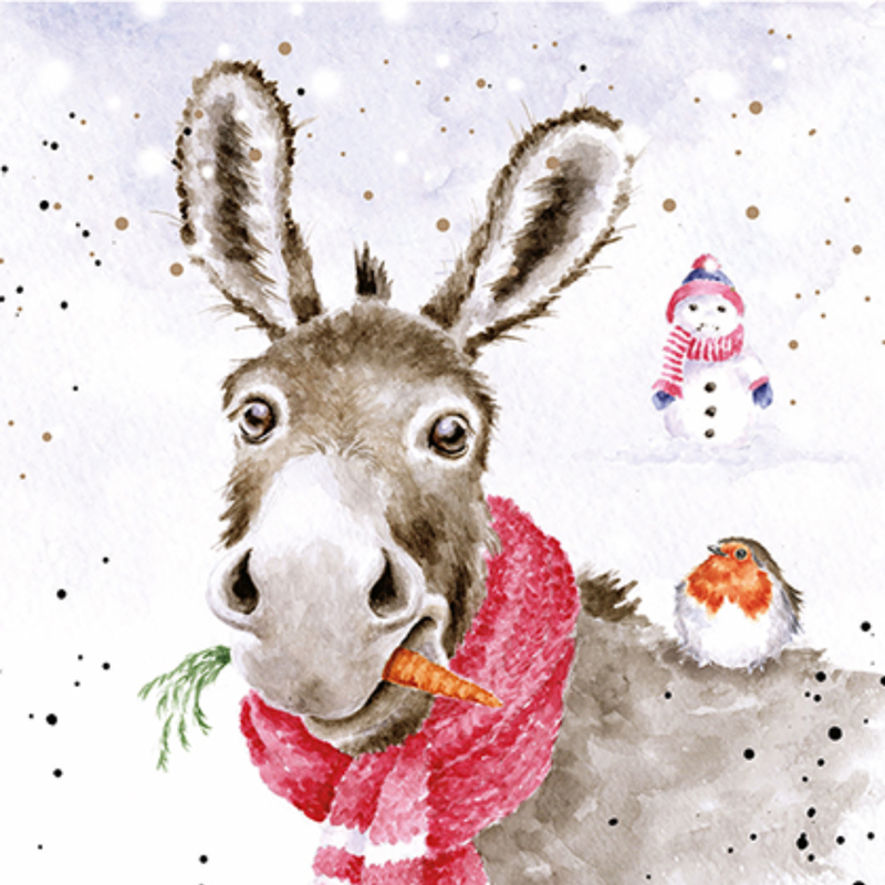 Wrendale Designs 'Muletide Greetings' Donkey Card Box Set-1