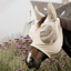 Kentucky Slim Fit Fly Mask - Beige