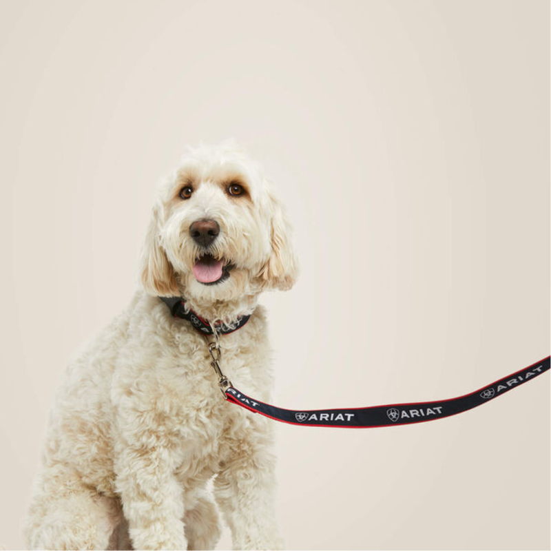 Ariat Dog Leash - Team-1