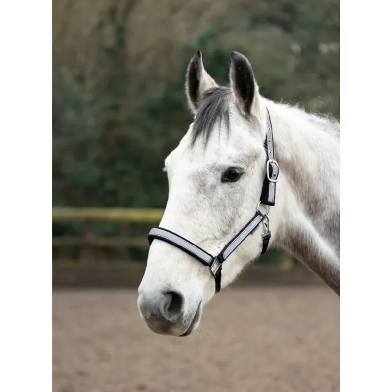 Hy Equestrian Silva Flash Headcollar - Black/Reflective Silver-1
