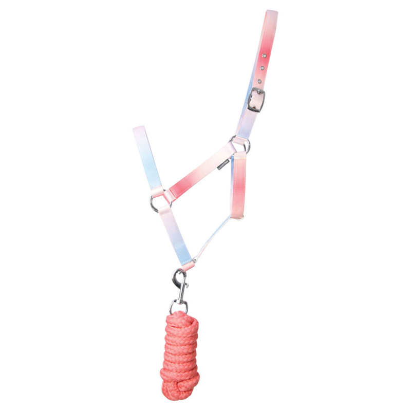 Hy Equestrian Ombre Headcollar and Leadrope - Coral/Blue