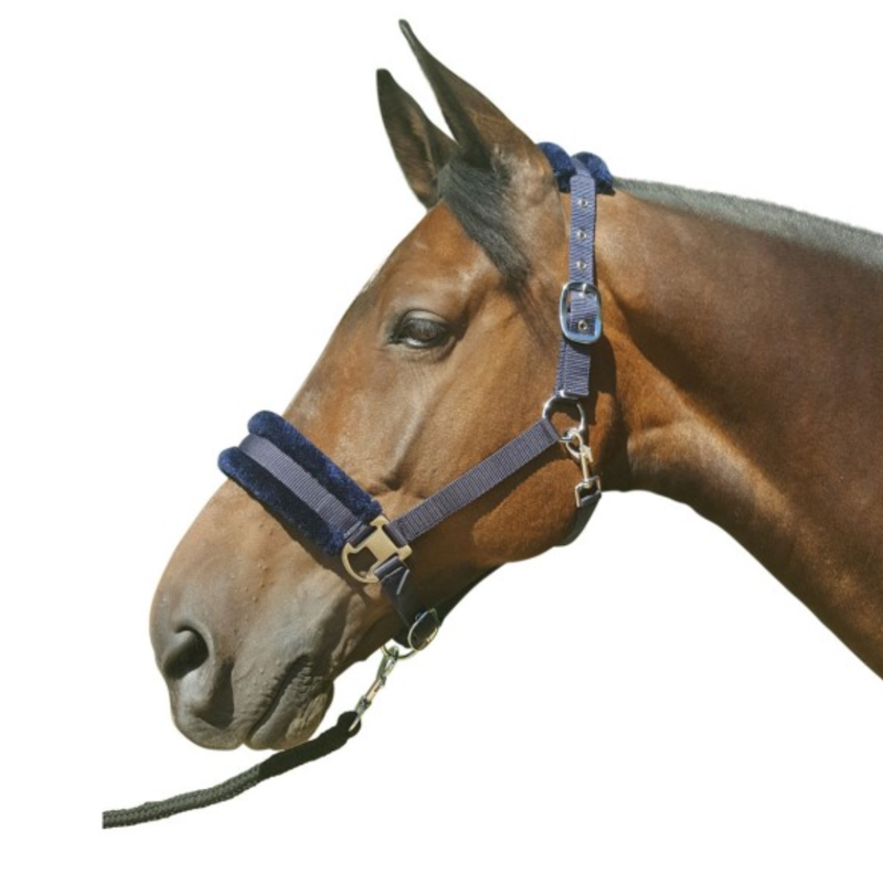 Hy Equestrian Faux Fur Padded Headcollar with Leadrope - Navy