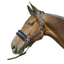 Hy Equestrian Faux Fur Padded Headcollar with Leadrope - Navy