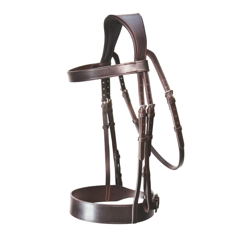 Henry James Hunter Bridle - Havana Brown