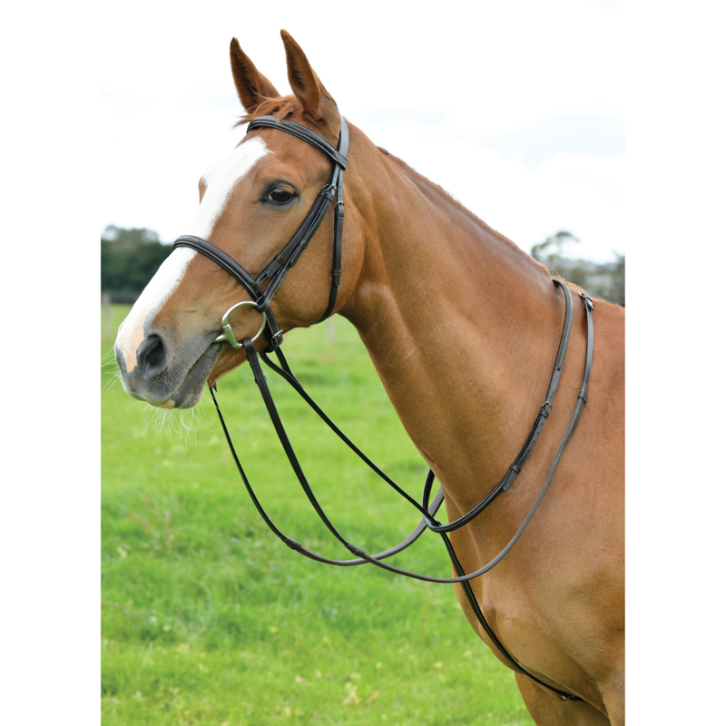 Dublin Standing Martingale - Brown