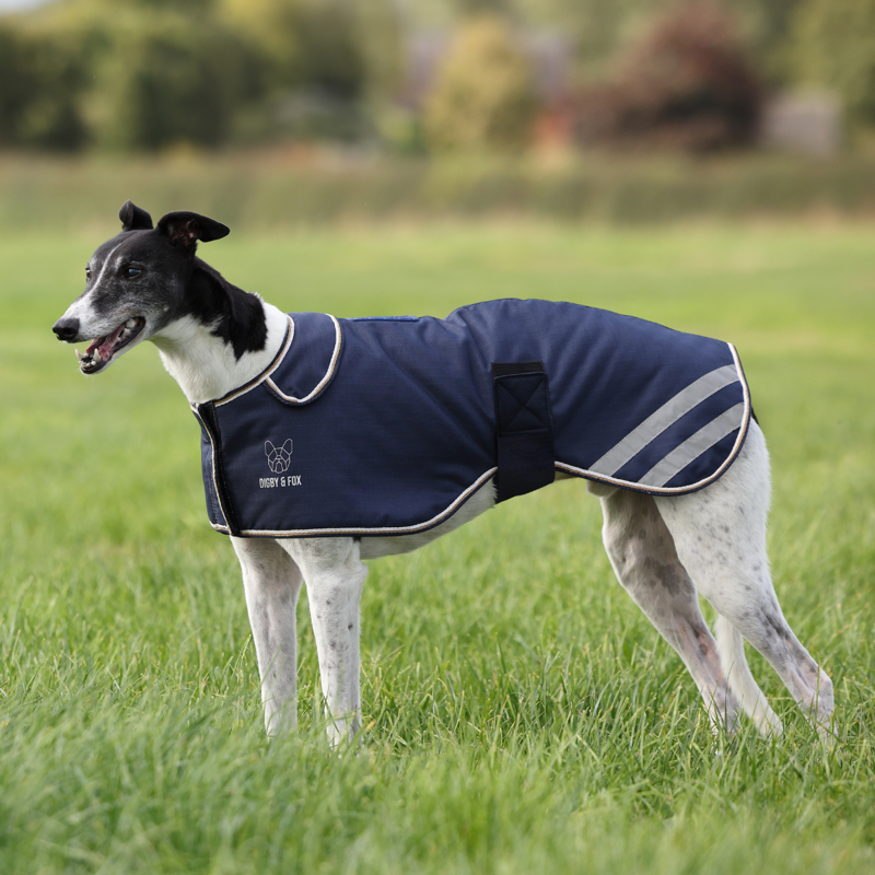 Shires Digby and Fox Waterproof Greyhound Coat - Navy