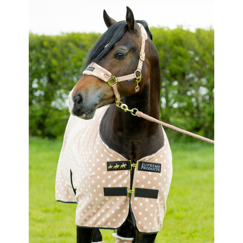 Supreme Products Dotty Fleece Rug - Luxurious Latte-3