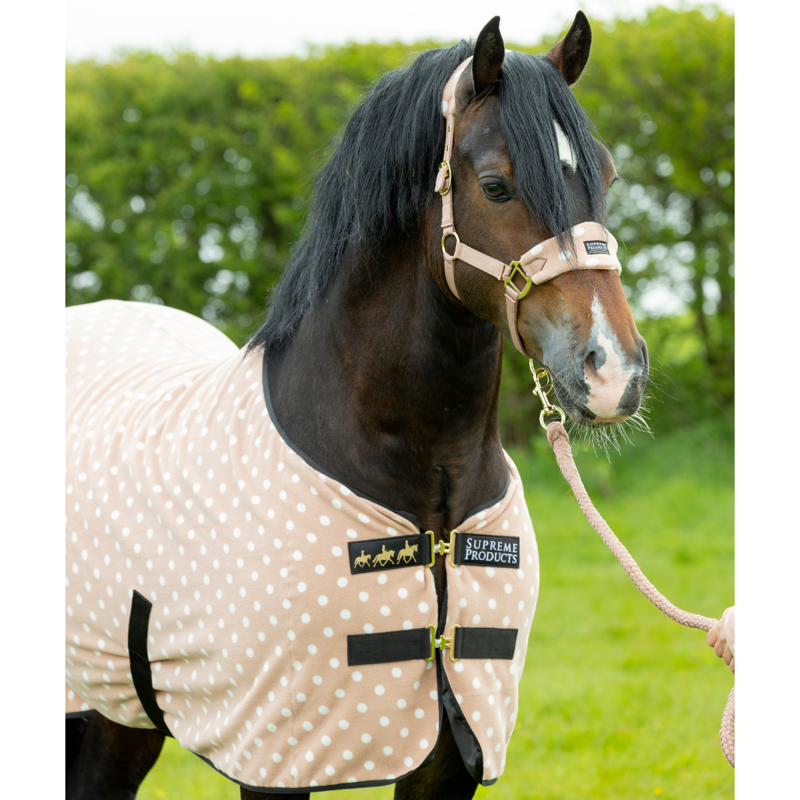 Supreme Products Dotty Fleece Rug - Luxurious Latte-4