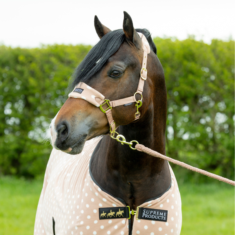 Supreme Products Dotty Fleece Head Collar and Lead Rope - Luxurious Latte-1