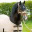 Supreme Products Dotty Fleece Head Collar and Lead Rope - Luxurious Latte