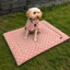 Supreme Products Dotty Fleece Dog Bed - Luxurious Latte