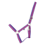 Hy Equestrian Duo Headcollar - Purple/Fuchsia