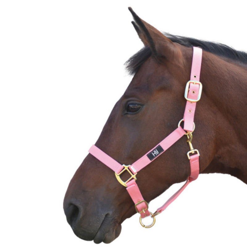 Hy Equestrian Headcollar - Baby Pink