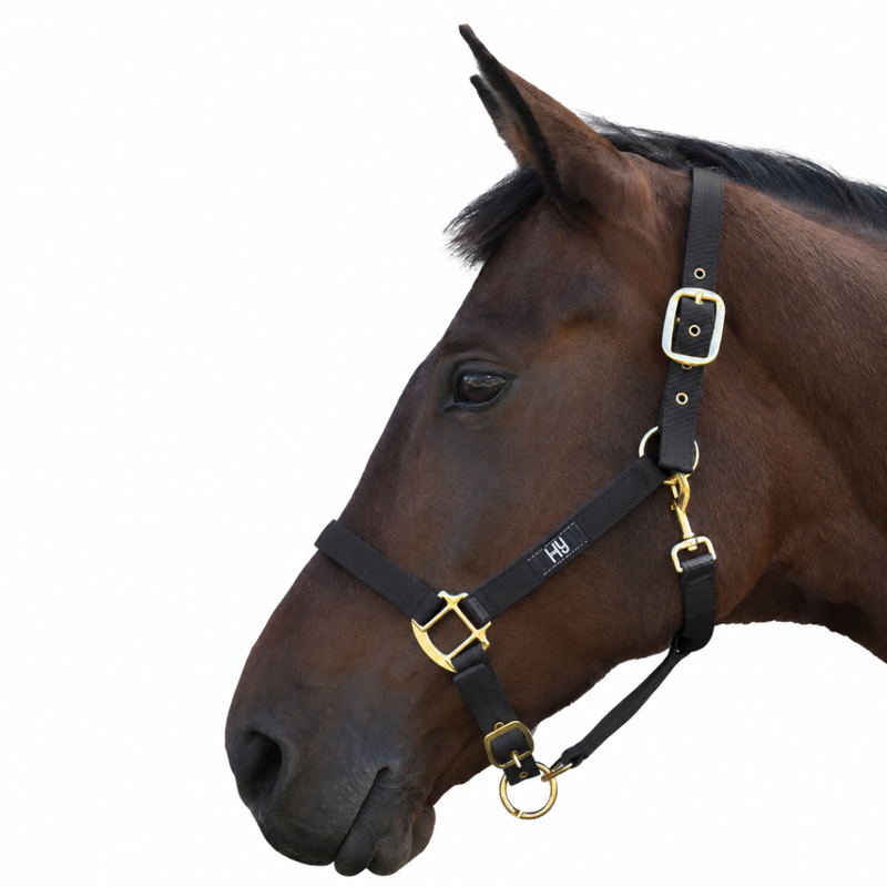 Hy Equestrian Headcollar - Black