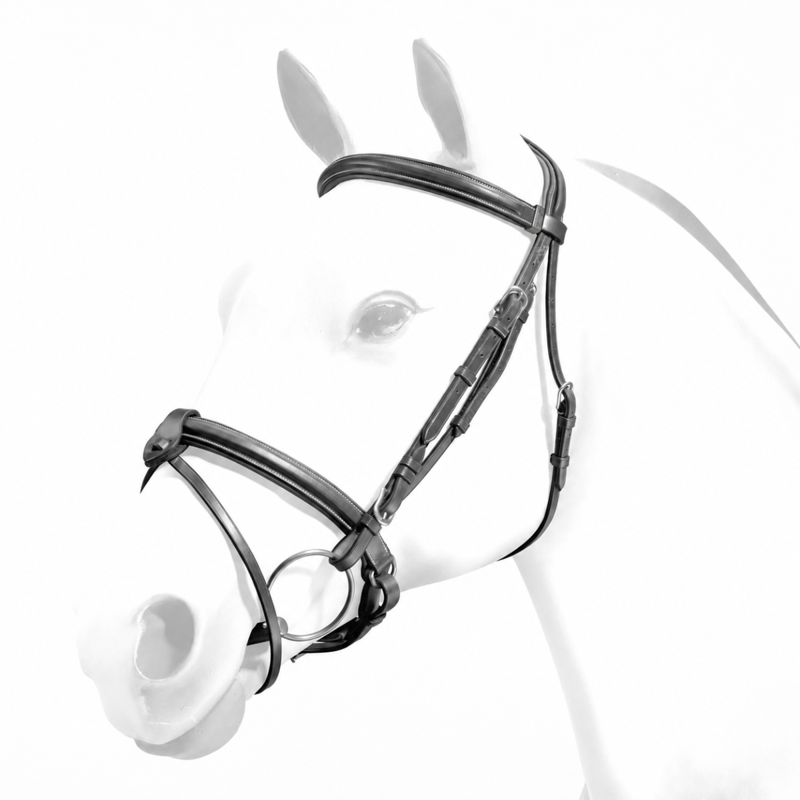 Equipe Emporio Padded Bridle With Crank Nose Band and Detachable Flash - Black/Brass