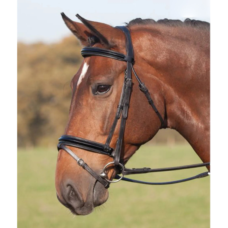 Shires Argenta Patent Dressage Bridle - Black