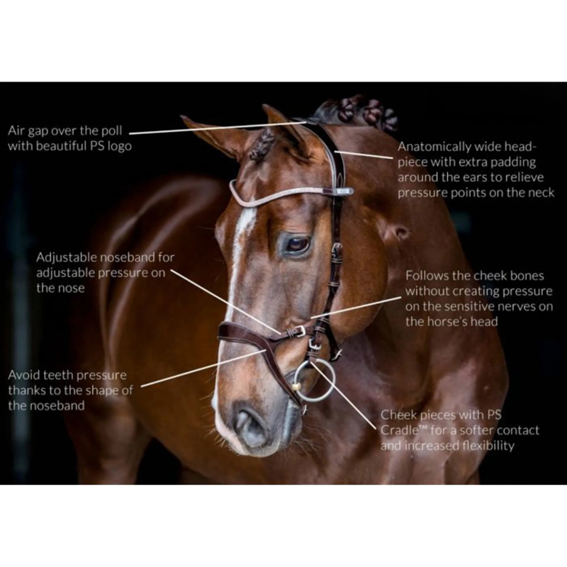 PS of Sweden Nirak Bridle - Black-1
